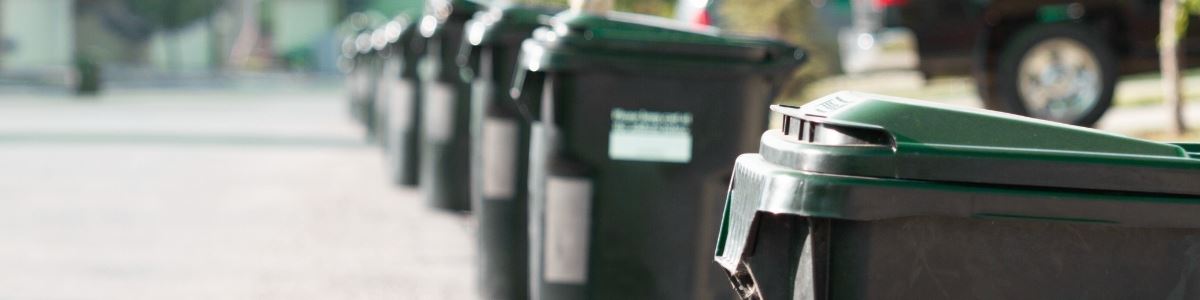 Line of trash cans on the curb of a street 